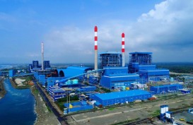 PLN Masih Kaji Skema Coal Phase Down Batu Bara