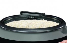 ESDM Targetkan Pembagian Rice Cooker Gratis Rampung Desember 2023