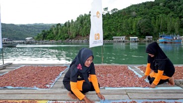 Jelajah Migas: Mengenal Desa Air Bini di Anambas yang Terkenal Sebagai Kampung Cumi