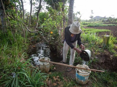 BMKG Memprediksi Fenomena El Nino dan Indian Ocean Dipole (IOD) Masih Akan Berlangsung Hingga Akhir Tahun 2023