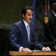 Emir Qatar Desak Dunia Internasional Tidak Izinkan Israel Bunuh Rakyat Palestina