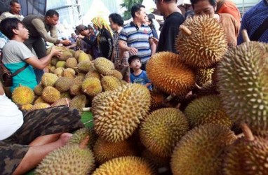 Durian Jadi Penyumbang Devisa Ekspor Buah Terbesar Vietnam