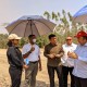 Jokowi Groundbreaking Proyek Taipan Tahir & Alexander Tedja di IKN Besok