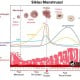 Ini Rekomendasi Makanan yang Harus Dikonsumsi Saat Menstruasi