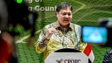 Airlangga Ajak Brasil Investasi di Food Estate dan Hilirisasi