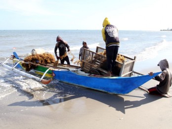 Menteri Teten: 65% Ekspor Produk Rumput Laut RI Berupa Bahan Mentah
