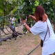 Hatten (WINE) Pelopori Agrowisata Anggur di Buleleng