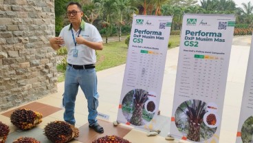 Dorong Produktivitas, Musim Mas Lakukan Riset Bibit Unggul Sawit