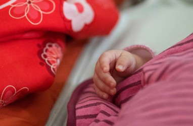 Ramai-Ramai Kejar Baby Dragon, Peluang Cuan dari Program Bayi Tabung