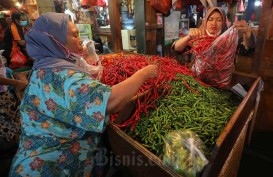 Harga Pangan Hari Ini 6 November: Beras Masih Tinggi, Cabai Meroket