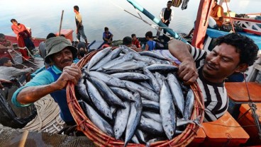 Ajaib, 13 Manfaat Makan Ikan Bagi Kesehatan