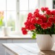 12 Arti Bunga Mawar Berdasarkan Warna, Bukan hanya Tentang Cinta