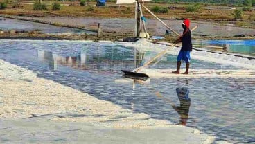 Produksi Garam Jatim Bakal Mencapai 900.000 Ton Tahun Ini