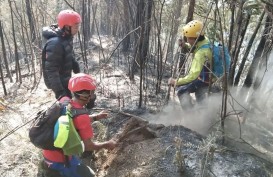 Kebakaran Gunung Kawi di Malang, Begini Penanganannya