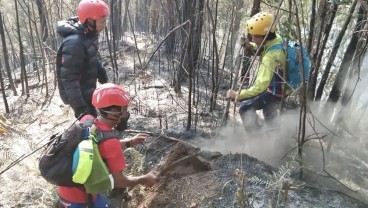 Kebakaran Gunung Kawi di Malang, Begini Penanganannya