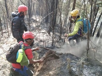 Kebakaran Gunung Kawi di Malang, Begini Penanganannya