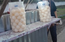 BKSDA Amankan Puluhan Butir Telur Penyu dari Seorang Pedagang di Padang