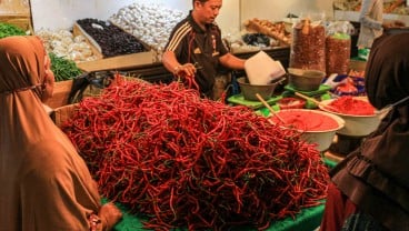 Harga Cabai di Padang Capai Rp90.000 Per Kg