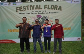 Peringati Hari Cinta Puspa dan Satwa, Pertamina Patra Niaga JBT Gelar Festival Flora