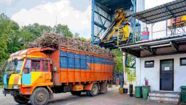 Produksi Gula SGN Tahun Depan Diproyeksi 978.832 Ton