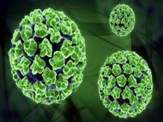 Penularan Virus HPV Melalui Toilet, Dokter: Itu Mitos!
