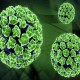 Penularan Virus HPV Melalui Toilet, Dokter: Itu Mitos!