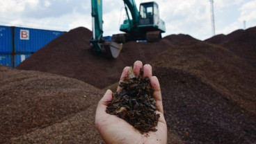 Peluang Terbuka Biomassa Sawit Menyubstitusi Batu Bara