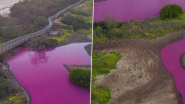 Sungai di Hawaii Berubah Jadi Pink, Fenomena Apa?