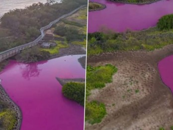 Sungai di Hawaii Berubah Jadi Pink, Fenomena Apa?