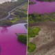 Sungai di Hawaii Berubah Jadi Pink, Fenomena Apa?
