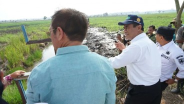 Lahan Rawa 200 Hektare di Kalsel Diproyeksi Dukung Produksi Beras