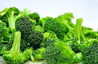 Brokoli Bisa Kontrol Gula Darah, Baik untuk Penderita Diabetes