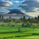Bali Kembangkan Taman Rekreasi di Desa Wisata