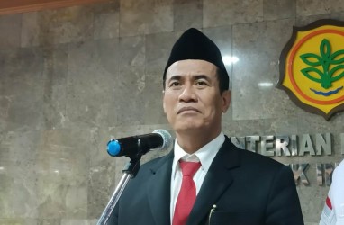 Tekan Impor, Kementan Genjot Optimalisasi 10 Juta Hektare Lahan Rawa