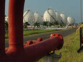 Gas Murah untuk Industri, Kebijakan 