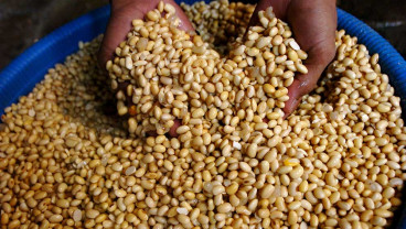 Kenaikan Harga Kedelai Membuat Produsen Tahu dan Tempe Terpaksa Mengurangi Jumlah Produksi
