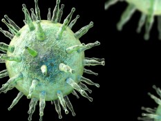 Ini 9 Fakta Penyakit Herpes yang Bisa Menyerang Anak dan Orang Dewasa