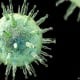 Ini 9 Fakta Penyakit Herpes yang Bisa Menyerang Anak dan Orang Dewasa