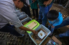 Atasi Sampah Organik, Pemkot Bandung Siapkan 151 Hanggar Maggot