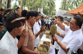 Kelompok Tani Hutan Jembrana Mampu Produksi Buah Berkualitas