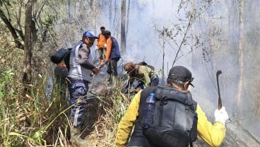 Kebakaran Gunung Panderman, Petugaskan Kesulitan Padamkan Api