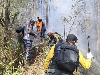 Kebakaran Gunung Panderman, Petugaskan Kesulitan Padamkan Api
