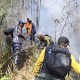 Kebakaran Gunung Panderman, Petugaskan Kesulitan Padamkan Api