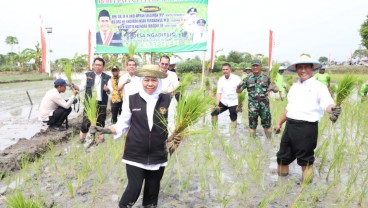 Panen dan Tanam Padi di Tuban, Khofifah Ajak Wujudkan Kedaulatan Pangan Indonesia