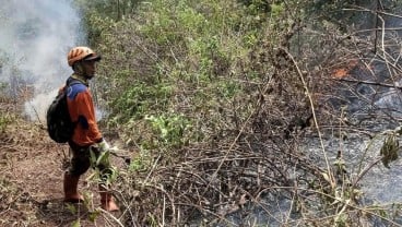 Kebakaran Gunung Panderman Kota Batu, Begini Perkembangannya