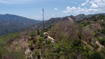 Jelajah Sinyal 2023: Merah Stroberi Gusti Bergantung di Jaringanmu yang Hijau