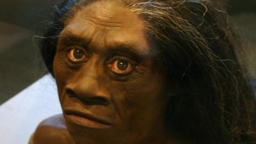 Peneliti Temukan Hobbit di Indonesia, Cek Lokasinya