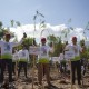 Semen Padang Targetkan 25% Bahan Bakar Pabrik Menggunakan EBT Kaliandra