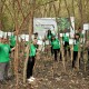 Tanam 1000 Pohon Mangrove, SPIL Mendukung Upaya Pelestarian Lingkungan