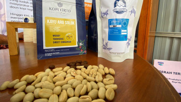 Kopi Tirto Kayu Aro dari Kabupaten Solok Resmi Diperkenalkan